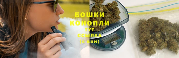 ешки Алексин