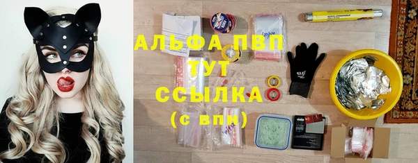 ешки Алексин