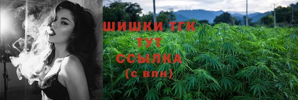 ешки Алексин