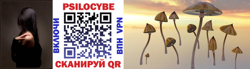 hydra ТОР Ишим Псилоцибиновые грибы Psilocybine cubensis