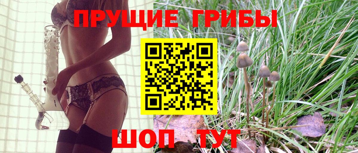 Ишим  Псилоцибиновые грибы MAGIC MUSHROOMS  Вход с VPN  магазин    Псилоцибиновые грибы мицелий 