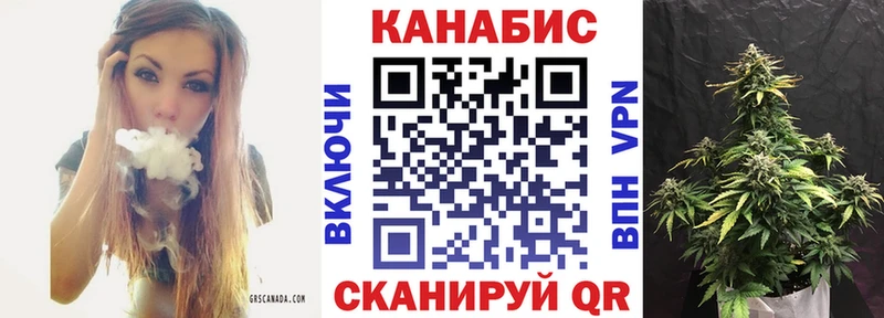 Канабис Amnesia  где найти наркотики  Ишим 
